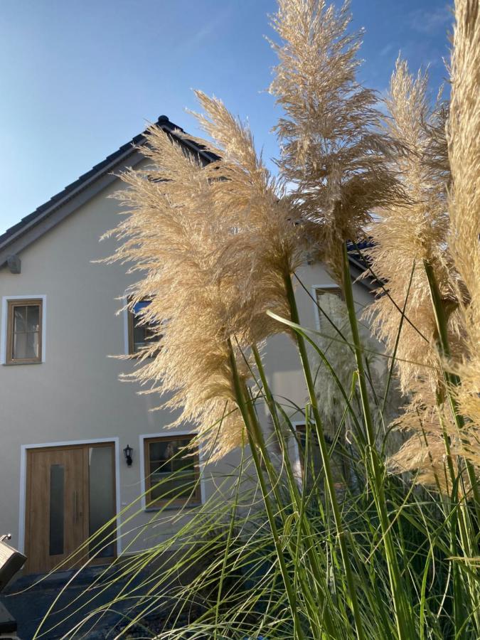 Kapitaenshaus Sellin Mit Sauna Und Kamin エクステリア 写真